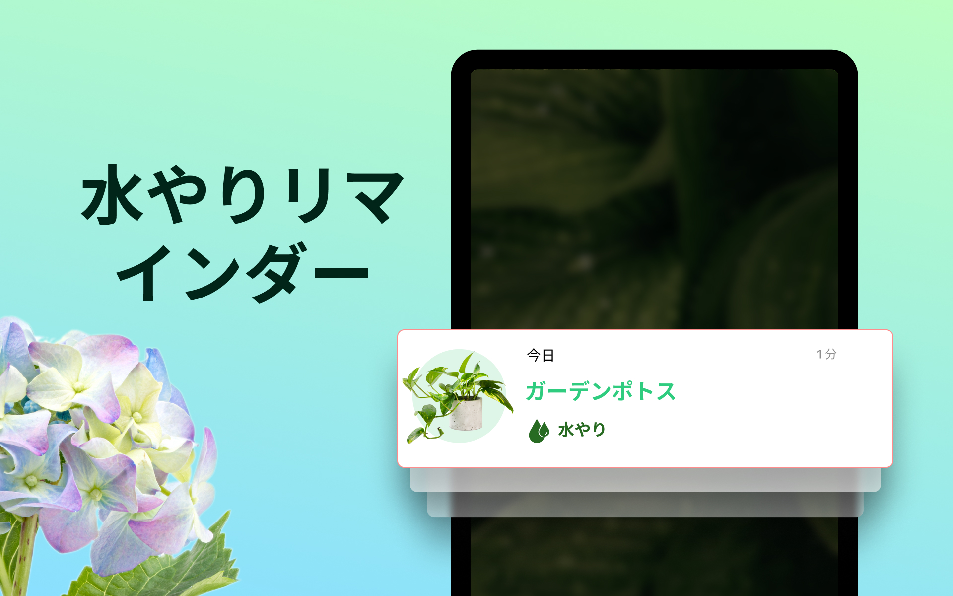 きよら様　確認用ページ　ピクチャーデイズも在庫あれば追加予定 きよら様 確認用ページ ピクチャーデイズも在庫あれば追加予定 Z/X(